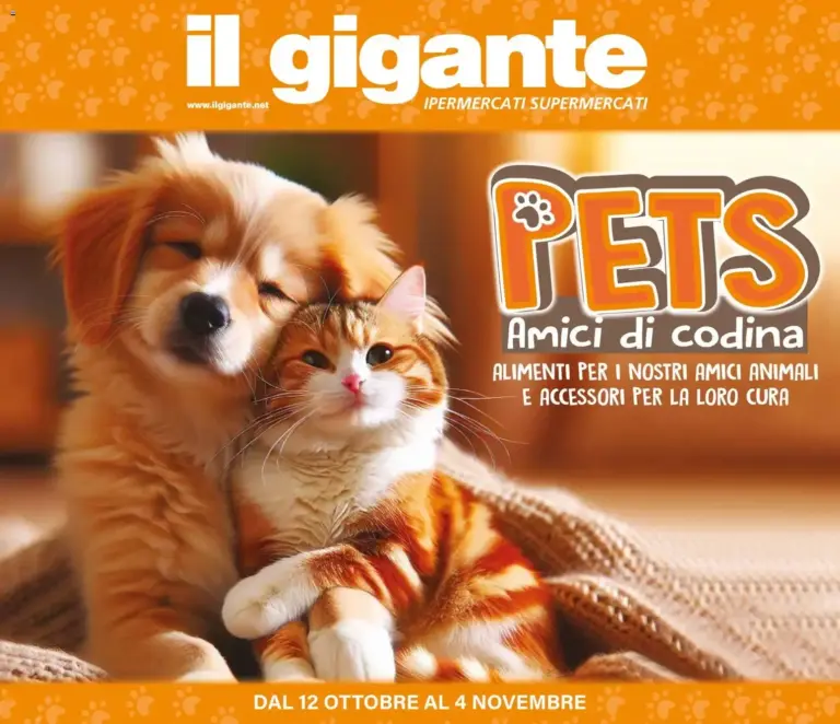 Il Gigante volantino Amici di codina dal 12/10/2026